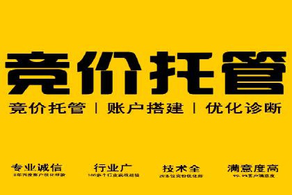 深度解析：SEM广告在竞争激烈市场中的生存之道